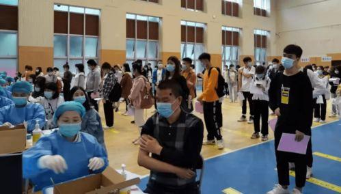 王庄最新爆料消息新闻报道,揭秘事件背后惊人真相