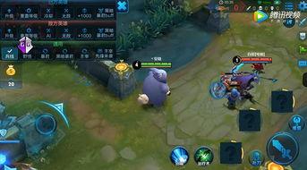 王者荣耀最新爆料猫萌,猫萌新英雄即将亮相王者荣耀