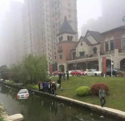 海安网友最新爆料,揭秘当地最新热点事件